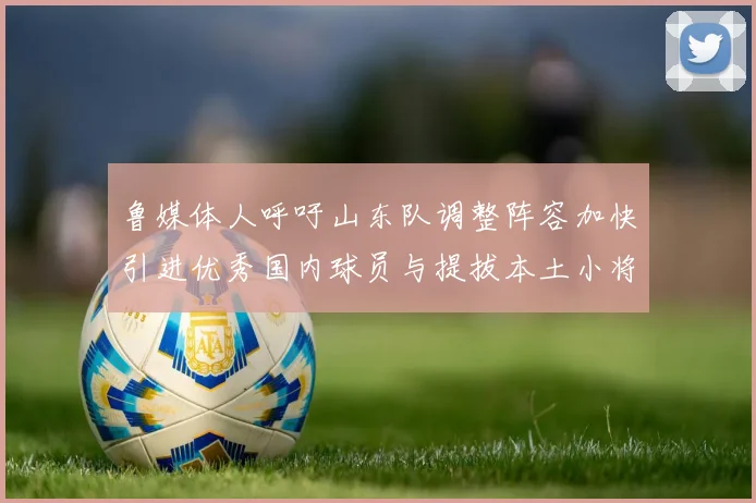 鲁媒体人呼吁山东队调整阵容加快引进优秀国内球员与提拔本土小将